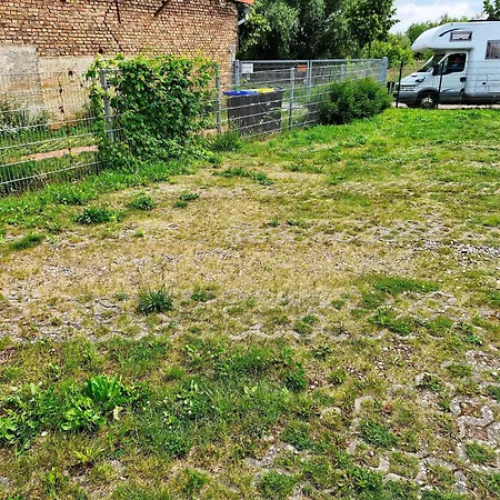 Wunderschoene An Der Mueritz *